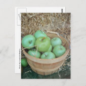 Carte Postale Pommes vertes (Devant / Derrière)