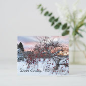 Carte Postale Pommier (Debout devant)