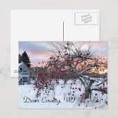 Carte Postale Pommier (Devant / Derrière)