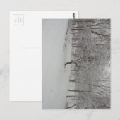 Carte Postale Pommier en hiver (Devant / Derrière)