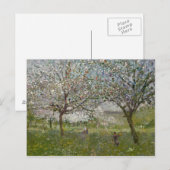 Carte Postale Pommiers en fleurs (Devant / Derrière)