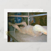 Carte Postale Pompéi, un des habitants pris dans les cendres (Devant / Derrière)