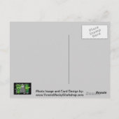 Carte Postale Pompes à gaz (Dos)