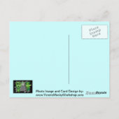 Carte Postale Pompes à gaz (Dos)