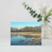 Carte Postale Pond (Debout devant)