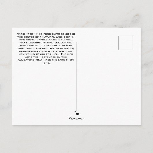 Carte postale Pond Cypress Legend (Dos)