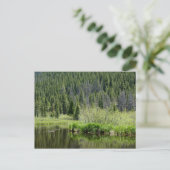 Carte postale Pond pêche calme, Winter Park, Color (Debout devant)