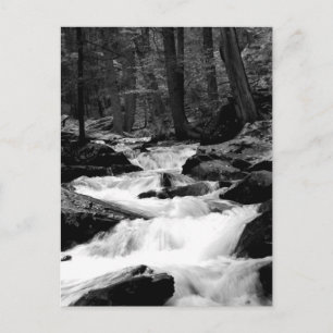 Carte Postale Pond Run Creek