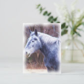 Carte Postale poney (Debout devant)