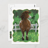 Carte Postale Poney Appaloosa (Devant / Derrière)