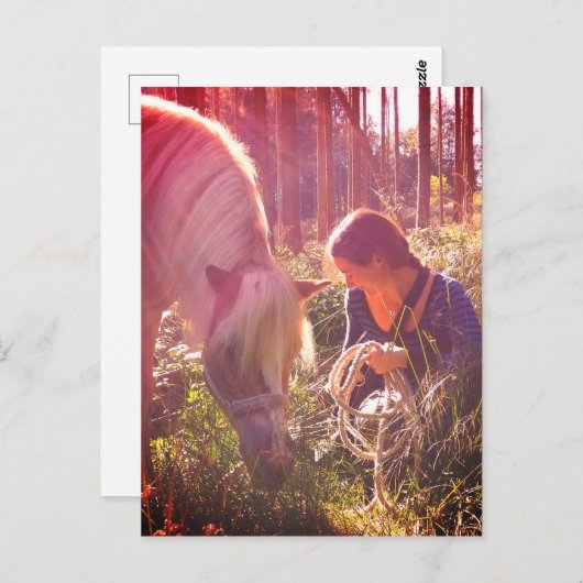 Carte Postale Poney dans les bois (Devant / Derrière)