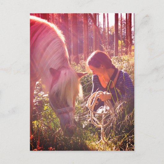 Carte Postale Poney dans les bois (Devant)