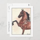 Carte Postale Poney de baudrier de baie 1 (Devant / Derrière)