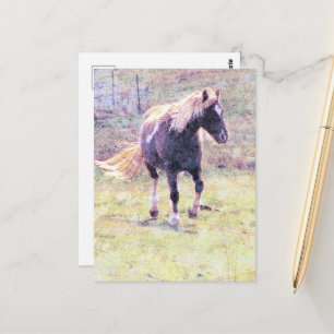 Carte Postale Poney Pinto
