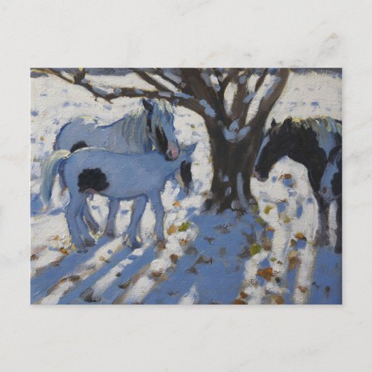 Carte Postale Ponies de chaume en hiver 2012 (Devant)