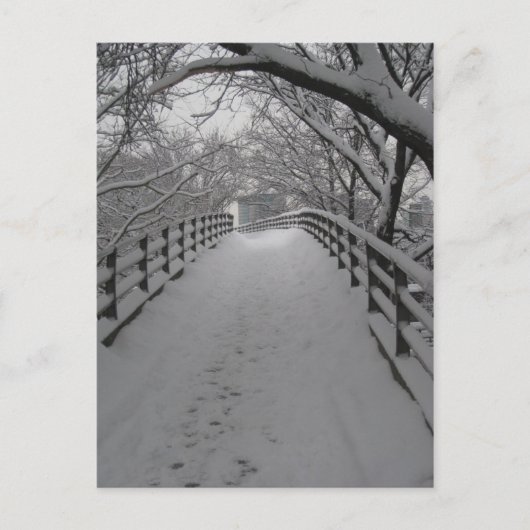 Carte Postale Pont (Devant)