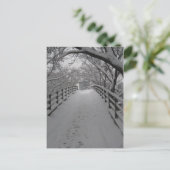 Carte Postale Pont (Debout devant)