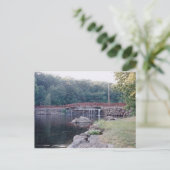 Carte Postale Pont (Debout devant)