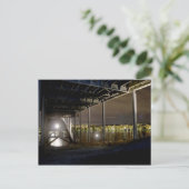 Carte Postale Pont (Debout devant)