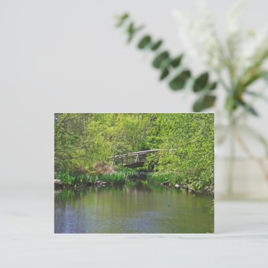 Carte Postale pont (Debout devant)