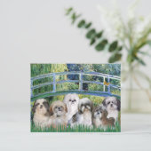 Carte Postale Pont - 6 Shih tzus (Debout devant)