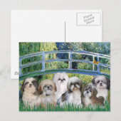 Carte Postale Pont - 6 Shih tzus (Devant / Derrière)