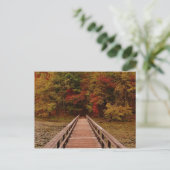 Carte Postale Pont à la chaîne Bays (Debout devant)