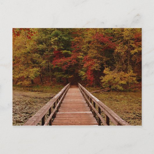 Carte Postale Pont à la chaîne Bays (Devant)