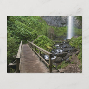 Carte Postale Pont à Latourell Falls, Columbia River Gorge,