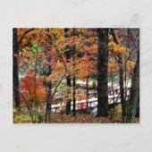 Carte Postale Pont à l'automne avec Feuilles de l'arbre d'automn (Devant)