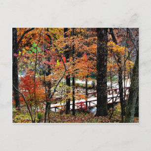 Carte Postale Pont à l'automne avec Feuilles de l'arbre d'automn