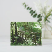 Carte Postale Pont à Woodland. (Debout devant)