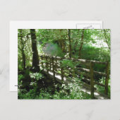 Carte Postale Pont à Woodland. (Devant / Derrière)