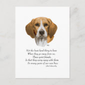 Carte Postale Pont arc-en-ciel beagle (Devant)