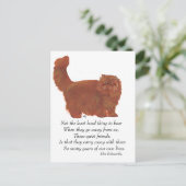 Carte Postale Pont arc-en-ciel de chat perse rouge (Debout devant)