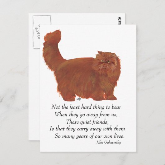 Carte Postale Pont arc-en-ciel de chat perse rouge (Devant / Derrière)