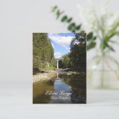 Carte Postale Pont au-dessus de la gorge Elora (Debout devant)