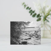 Carte Postale Pont Brown (Debout devant)