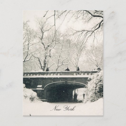 Carte Postale pont central du parc (Devant)