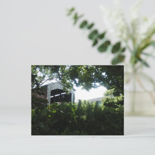 Carte Postale Pont couvert (Debout devant)