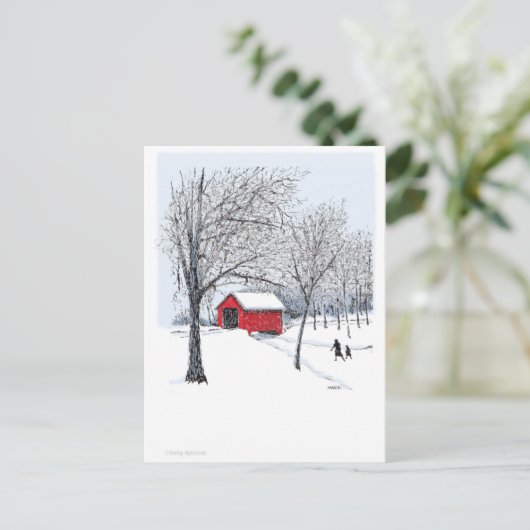 Carte Postale Pont couvert (Debout devant)