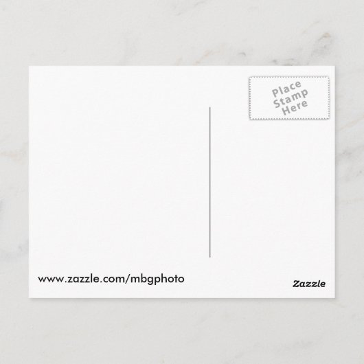 Carte Postale Pont couvert de Bridgeton (Dos)