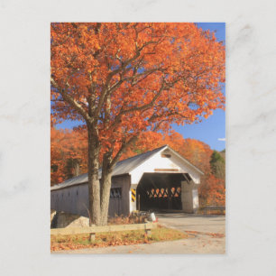 Carte Postale Pont couvert de West River et Oak Vermont