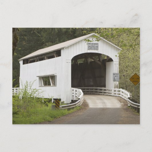 Carte Postale Pont couvert de Wild Cat, comté de Lane, Oregon (Devant)