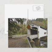 Carte Postale Pont couvert de Wild Cat, comté de Lane, Oregon (Devant / Derrière)