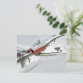 Carte Postale Pont couvert rouge, Québec (Debout devant)