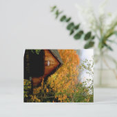 Carte Postale Pont couvert Woodstock, VT (Debout devant)