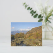 Carte Postale Pont d'Ashness, Lake District, Cumbria, Angleterre (Debout devant)