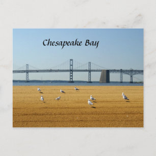 Carte Postale Pont de la baie de Chesapeake