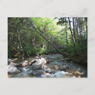 Carte Postale Pont de la rivière Pemigewasset dans le New Hampsh